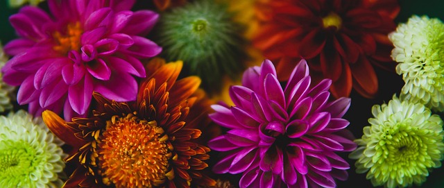 沙特联赛高层：毫无疑问萨拉赫会来，只是不确定1月还是夏窗