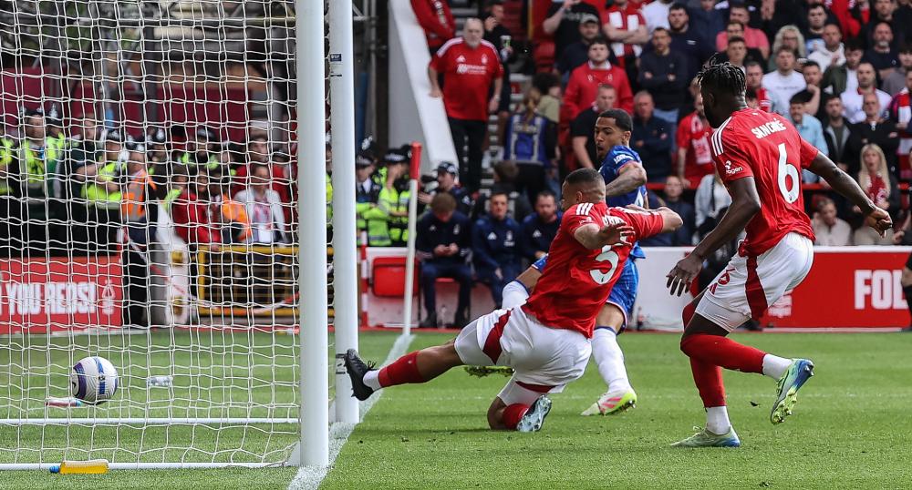 全面即战力！陈林坚10中4&三分6中3拿到12分5板2助1断