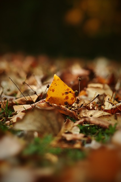 青少年如何提升控球能力？